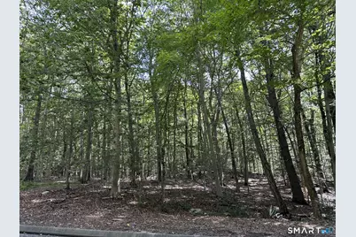 Lot #6 South Brook Drive, Stamford, CT 06904 - Photo 1