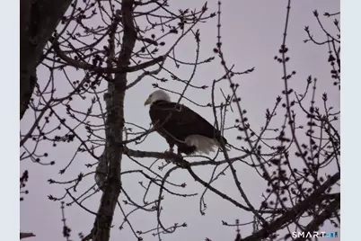 241 South Water Street #14, East Windsor, CT 06088 - Photo 12