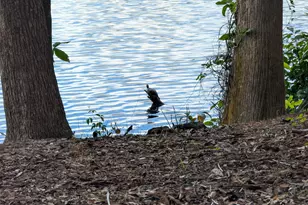 241 S Water St, East Windsor, CT 06088 - Photo 20