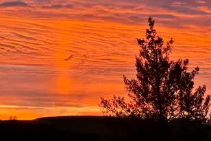 182 Magnolia Hill Rd, Bethlehem, CT 06751 - Photo 40