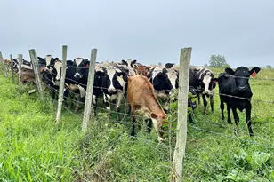 182 Magnolia Hill Rd, Bethlehem, CT 06751 - Photo 38