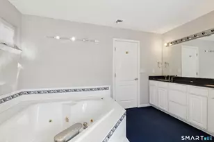 65 Fitch Meadow Ln, South Windsor, CT 06074 - Photo 22