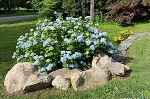 23 Harbor Rd, Colchester, CT 06415 - Photo 34