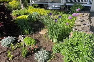 110 Alden St, Fairfield, CT 06824 - Photo 32