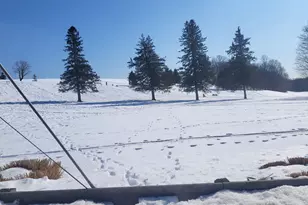 17 Esther Dr, Middlefield, CT 06455 - Photo 34