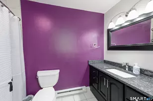 29 Mountain Laurel Ct, Cromwell, CT 06416 - Photo 26