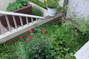 630 Longfellow Dr, Branford, CT 06405 - Photo 4