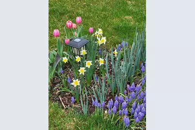 1 Jensen Court, Southington, CT 06489 - Photo 30