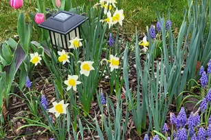 1 Jensen Ct, Southington, CT 06489 - Photo 30