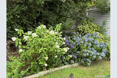 90 Clarkson Street, Bridgeport, CT 06605 - Photo 32