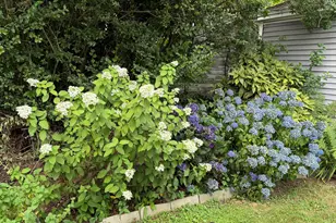 90 Clarkson St, Bridgeport, CT 06605 - Photo 32