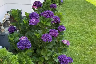 90 Clarkson St, Bridgeport, CT 06605 - Photo 34