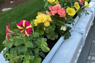 11 North Ct, Colchester, CT 06415 - Photo 36