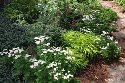 56 South Main Street, Essex, CT 06426 - Photo 4