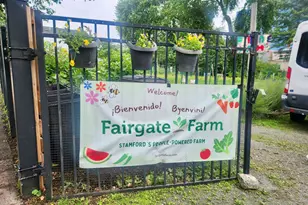 46 Fairgate Dr, Stamford, CT 06902 - Photo 14