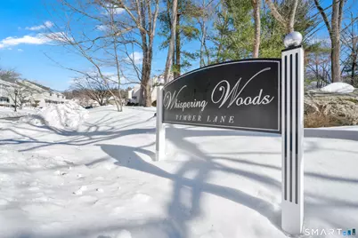 706 Timber Lane #706, Canton, CT 06019 - Photo 38