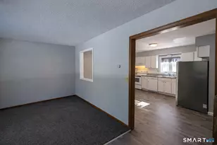 254 Chestnut Hill Rd, Colchester, CT 06415 - Photo 8