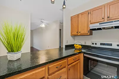 51 Schuyler Avenue #APT 7E, Stamford, CT 06902 - Photo 4