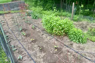 44 Morningside Dr, Ansonia, CT 06401 - Photo 26