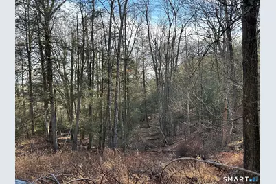 56 Walnut Tree Hill Road, Newtown, CT 06482 - Photo 12