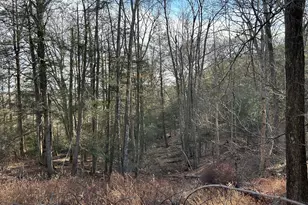 56 Walnut Tree Hill Rd, Newtown, CT 06482 - Photo 12