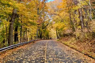 63 Park Rd, Hamden, CT 06517 - Photo 38