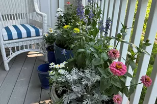 77 Sunset Ln, Ridgefield, CT 06877 - Photo 26