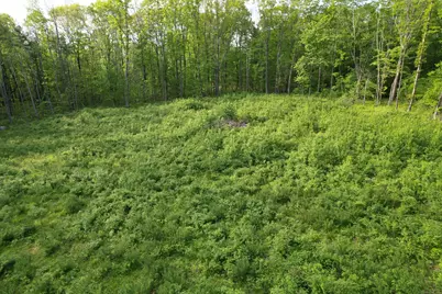 33 Tyler Ridge Road, Goshen, CT 06756 - Photo 4