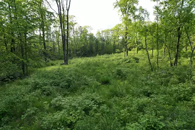 33 Tyler Ridge Road, Goshen, CT 06756 - Photo 2