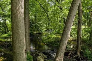 117 Tobys Ln, New Canaan, CT 06840 - Photo 38