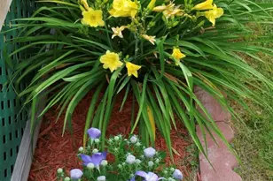 351 Platt Hill Rd, Winchester, CT 06098 - Photo 36