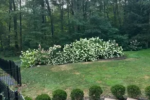 39 Bradley Ln, Newtown, CT 06482 - Photo 30