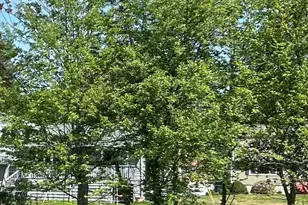 39 Zephyr Rd, Trumbull, CT 06611 - Photo 36