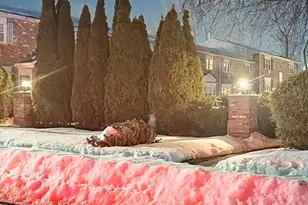 53 Hiltbrand Rd, Bristol, CT 06010 - Photo 28