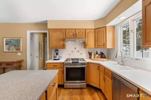 3 Owl Ridge Ln, Newtown, CT 06482 - Photo 16