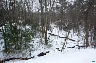 27 High St, New Hartford, CT 06057 - Photo 20