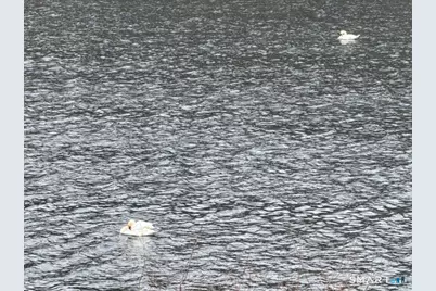 7 Pratt Lane, Wolcott, CT 06716 - Photo 22