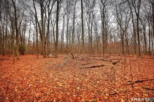 275 Hammertown Rd, Monroe, CT 06468 - Photo 14