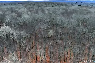 275 Hammertown Rd, Monroe, CT 06468 - Photo 4