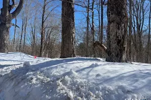 Bebbington Rd, Ashford, CT 06278 - Photo 1