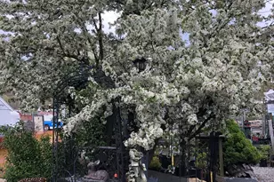 671 Rubber Ave, Naugatuck, CT 06770 - Photo 28