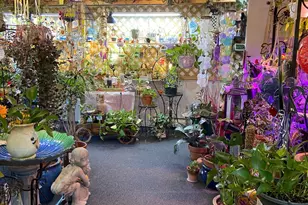 671 Rubber Ave, Naugatuck, CT 06770 - Photo 16