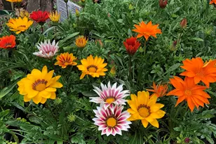 671 Rubber Ave, Naugatuck, CT 06770 - Photo 34