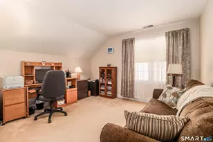 3 Spring Ridge Ct, Danbury, CT 06811 - Photo 20