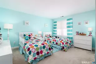 3 Spring Ridge Ct, Danbury, CT 06811 - Photo 22