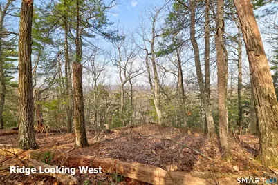 54 Notch Road, Granby, CT 06035 - Photo 16