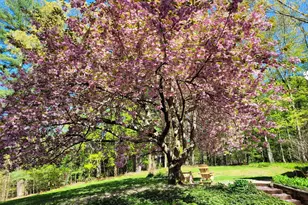 254 Aspetuck Ridge Rd, New Milford, CT 06776 - Photo 26