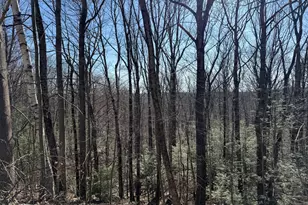 144 Spyglass Ct, Torrington, CT 06790 - Photo 30