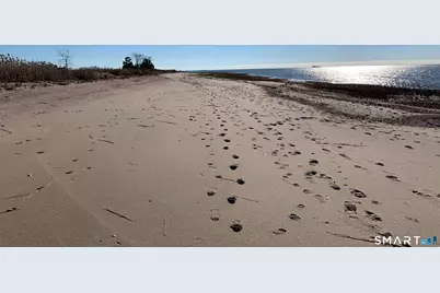 49 Circle Beach Road, Madison, CT 06443 - Photo 18