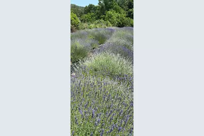 144 Hnath Road, Ashford, CT 06278 - Photo 38